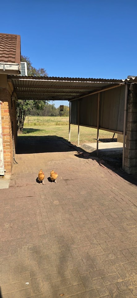 8 Bedroom Property for Sale in Roodewal Free State